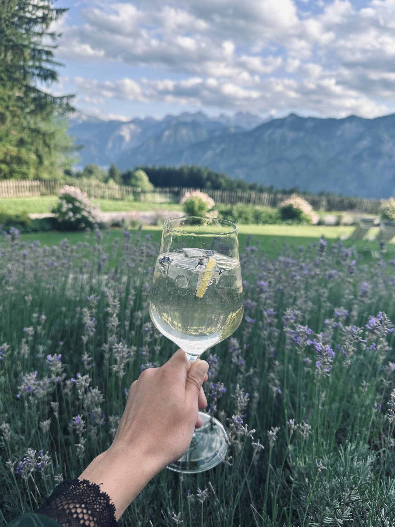 Kulinarik Berghotel Predigstuhl Bad Goisern